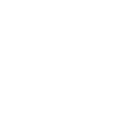 The Vision